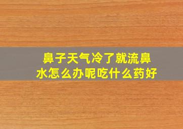 鼻子天气冷了就流鼻水怎么办呢吃什么药好