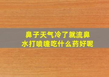 鼻子天气冷了就流鼻水打喷嚏吃什么药好呢