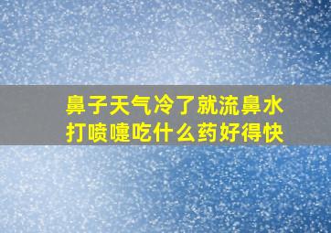 鼻子天气冷了就流鼻水打喷嚏吃什么药好得快