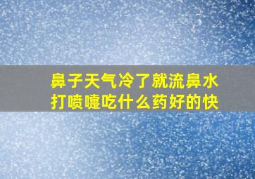 鼻子天气冷了就流鼻水打喷嚏吃什么药好的快