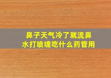 鼻子天气冷了就流鼻水打喷嚏吃什么药管用