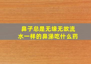 鼻子总是无缘无故流水一样的鼻涕吃什么药