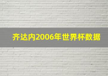 齐达内2006年世界杯数据