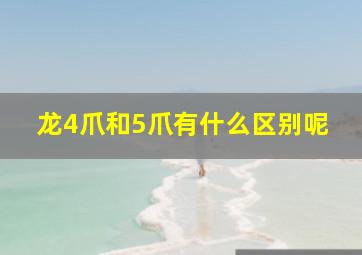 龙4爪和5爪有什么区别呢