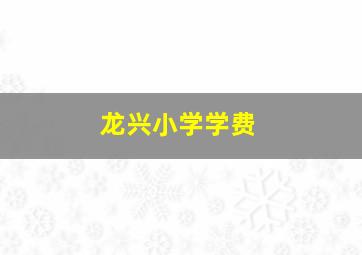 龙兴小学学费