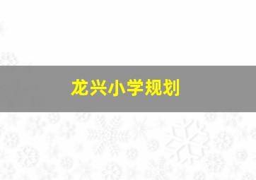 龙兴小学规划