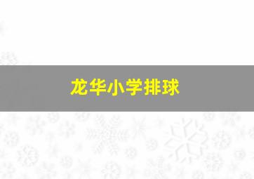 龙华小学排球