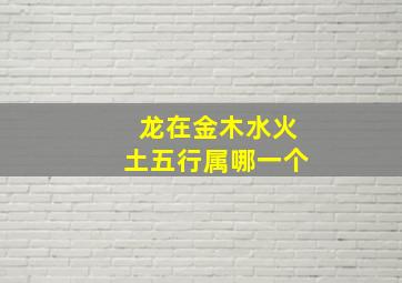 龙在金木水火土五行属哪一个