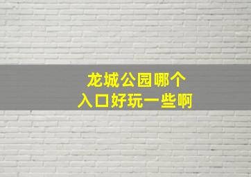 龙城公园哪个入口好玩一些啊