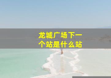 龙城广场下一个站是什么站