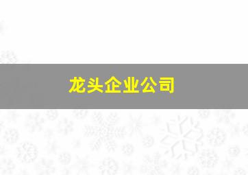 龙头企业公司