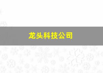 龙头科技公司