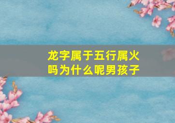 龙字属于五行属火吗为什么呢男孩子