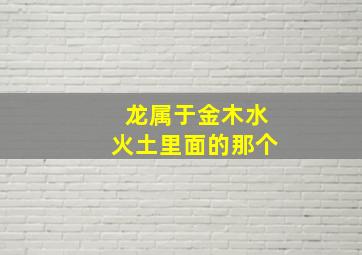 龙属于金木水火土里面的那个