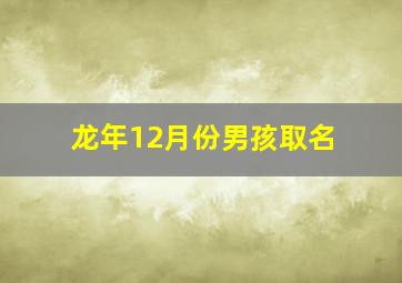 龙年12月份男孩取名