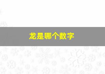 龙是哪个数字