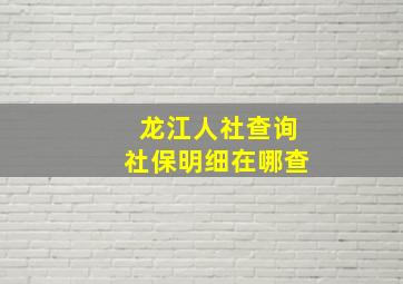 龙江人社查询社保明细在哪查