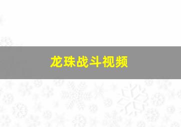 龙珠战斗视频