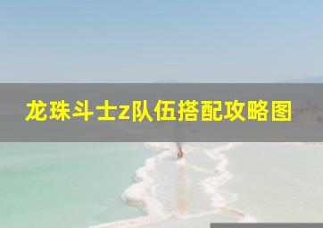 龙珠斗士z队伍搭配攻略图