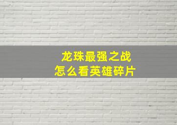 龙珠最强之战怎么看英雄碎片