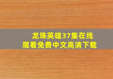 龙珠英雄37集在线观看免费中文高清下载