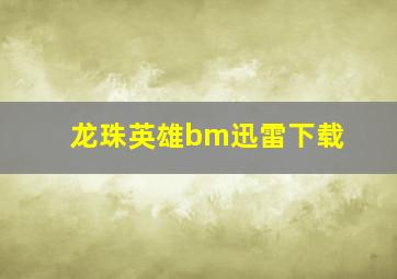 龙珠英雄bm迅雷下载