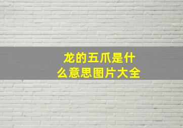 龙的五爪是什么意思图片大全