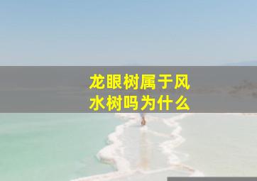 龙眼树属于风水树吗为什么