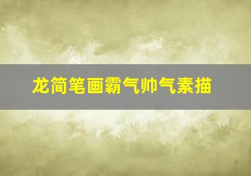 龙简笔画霸气帅气素描