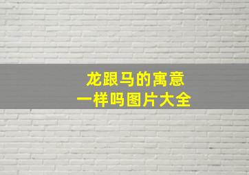 龙跟马的寓意一样吗图片大全