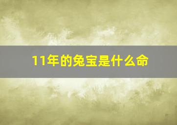 11年的兔宝是什么命