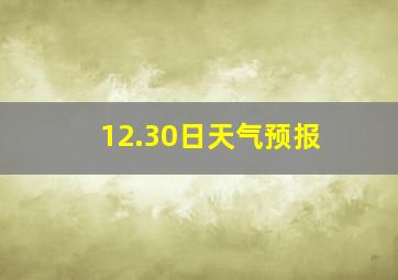 12.30日天气预报