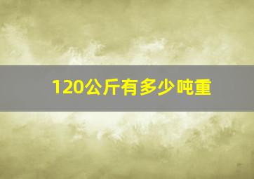 120公斤有多少吨重