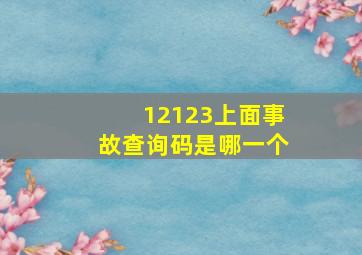 12123上面事故查询码是哪一个