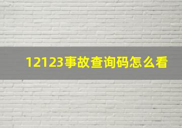 12123事故查询码怎么看