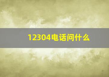 12304电话问什么