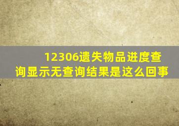 12306遗失物品进度查询显示无查询结果是这么回事