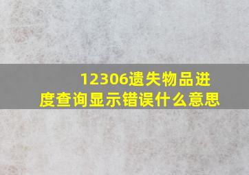 12306遗失物品进度查询显示错误什么意思