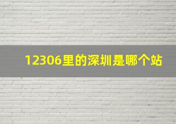 12306里的深圳是哪个站