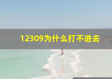 12309为什么打不进去