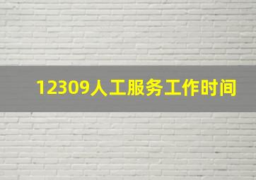 12309人工服务工作时间