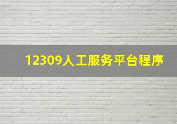 12309人工服务平台程序