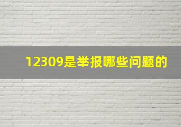 12309是举报哪些问题的