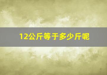 12公斤等于多少斤呢