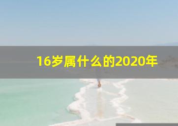 16岁属什么的2020年