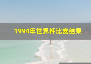 1994年世界杯比赛结果