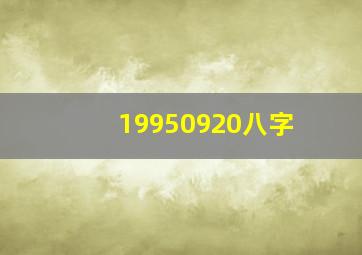 19950920八字