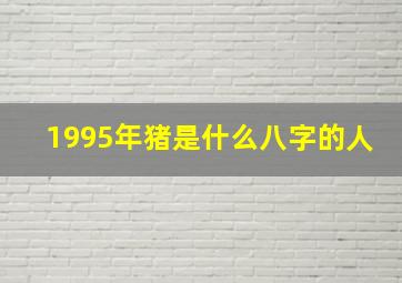 1995年猪是什么八字的人