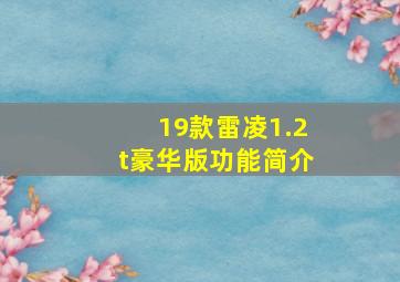 19款雷凌1.2t豪华版功能简介