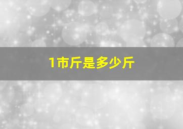 1市斤是多少斤